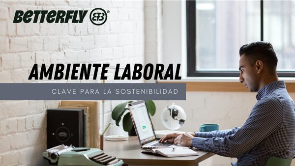 Ambiente Laboral: Clave para la Sostenibilidad