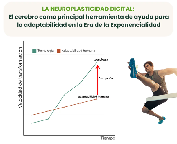 La neuroplasticidad digital: el cerebro como principal herramienta de ayuda para la adaptabilidad en la Era de la Exponencialidad